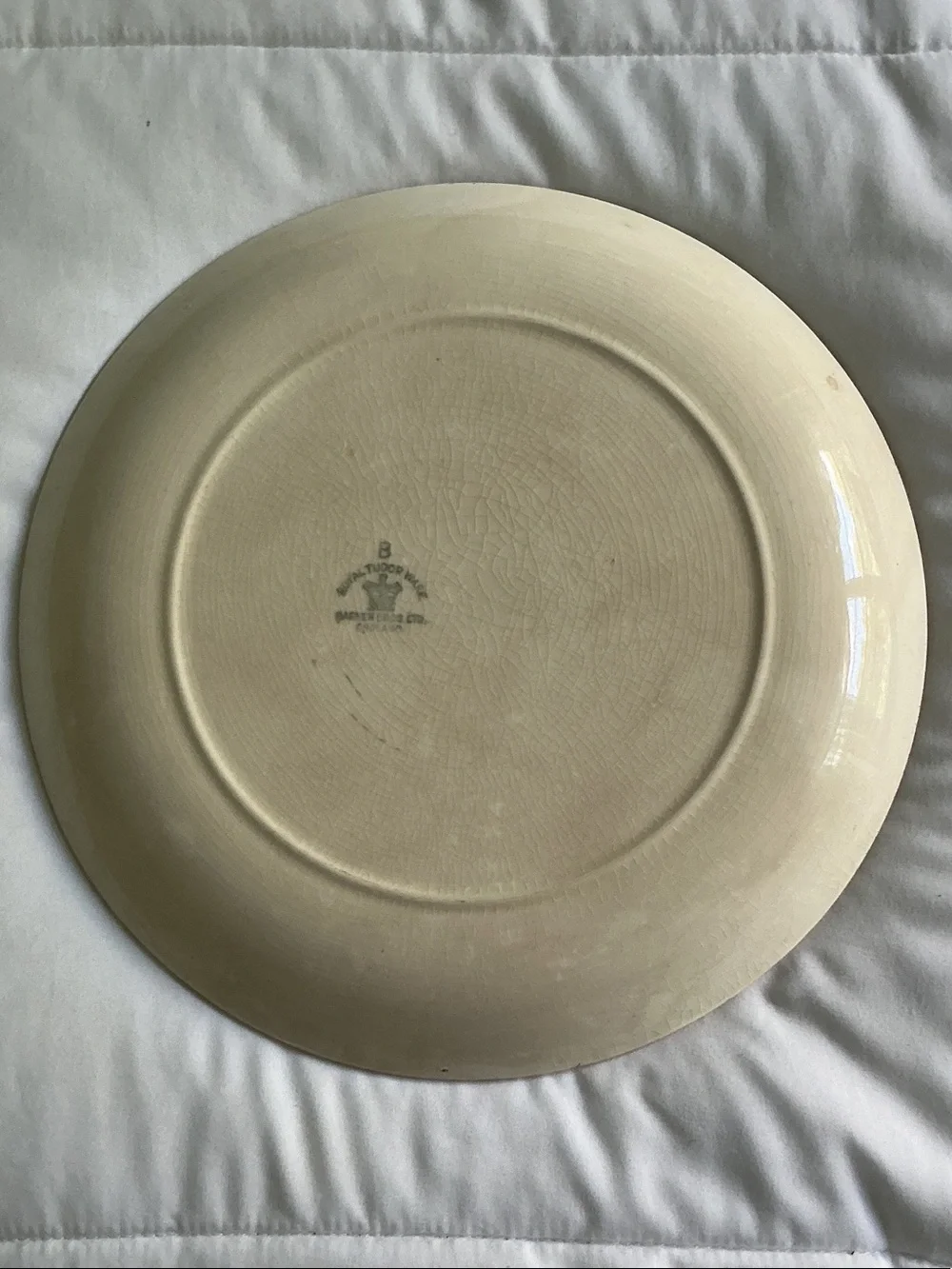 Royal Tudor Ware - Vintage Decorative Fruit Motif 9 3/4”, Hand Painted Plate